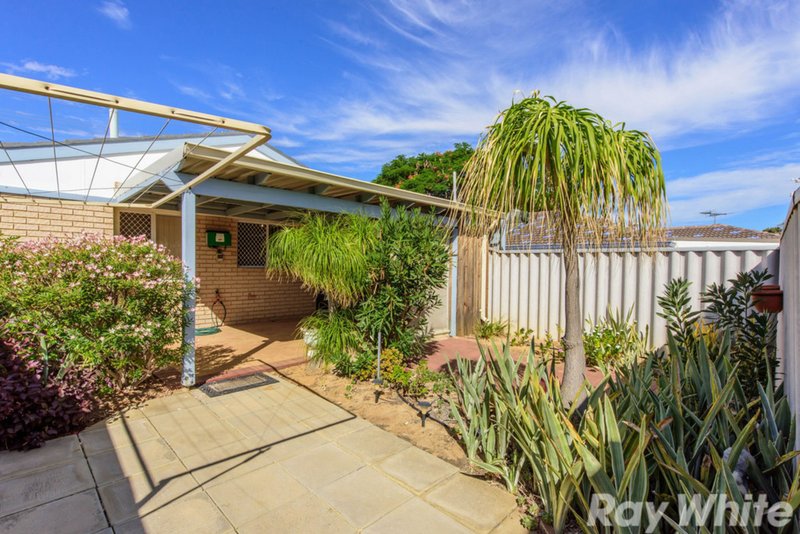 Photo - 41 Tamblyn St , Spalding WA 6530 - Image 13