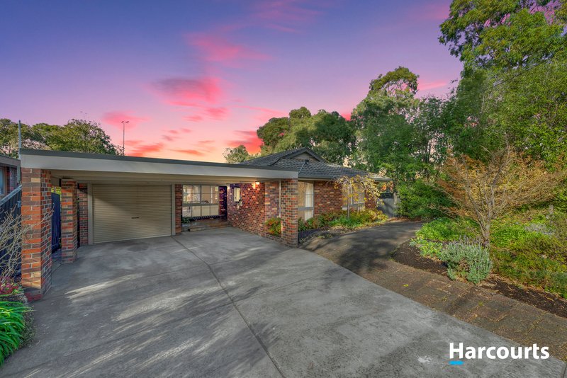 Photo - 41 Tullimbar Circuit, Vermont South VIC 3133 - Image 1