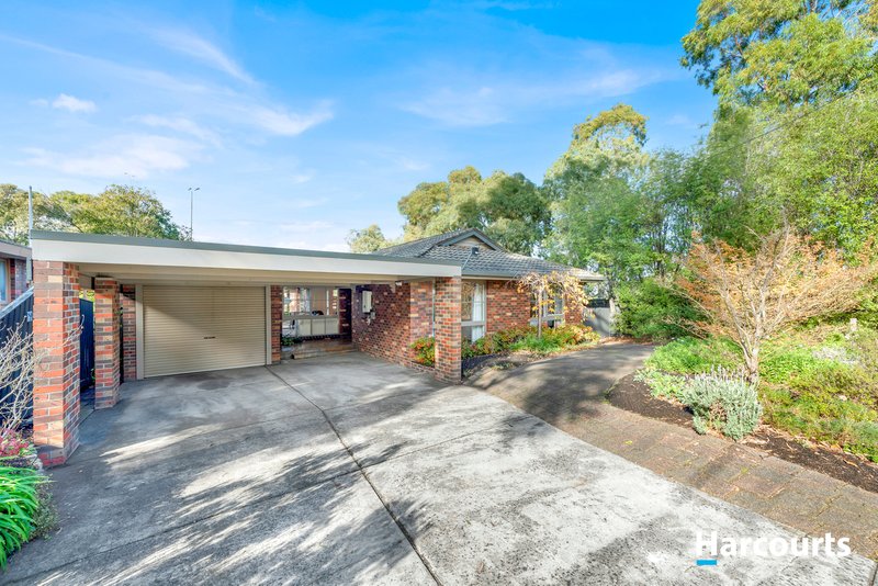 Photo - 41 Tullimbar Circuit, Vermont South VIC 3133 - Image 21