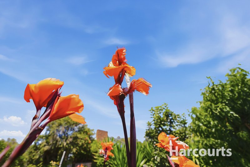 Photo - 41 Westwood Street, Bridport TAS 7262 - Image 23