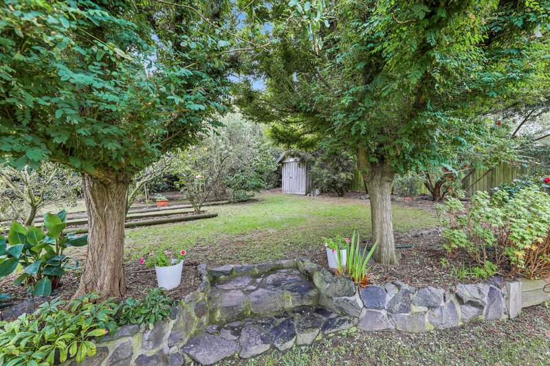 Photo - 41 Young Street, Darnum VIC 3822 - Image 17