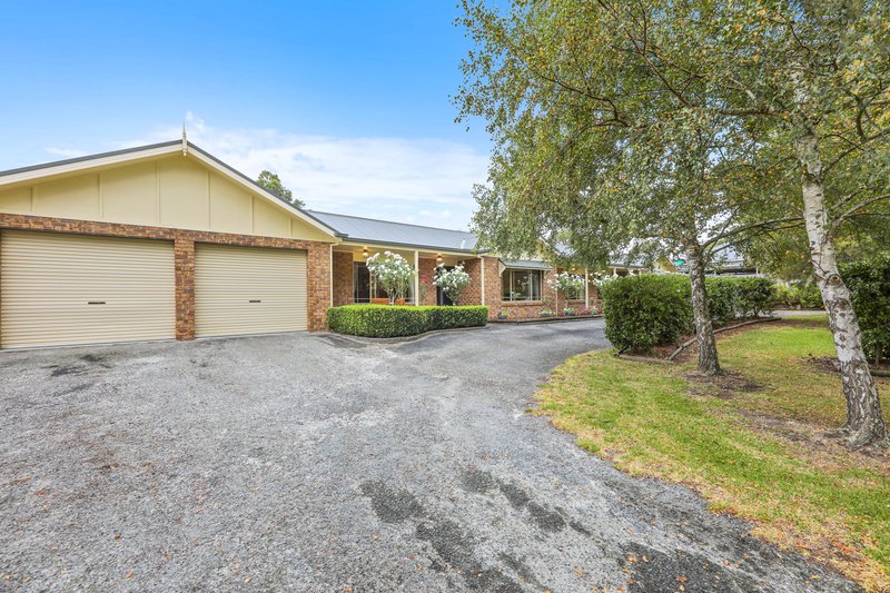 Photo - 41 Young Street, Darnum VIC 3822 - Image 22