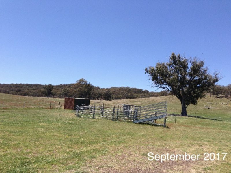 Photo - 410 The Lookdown Road, Bungonia NSW 2580 - Image 17