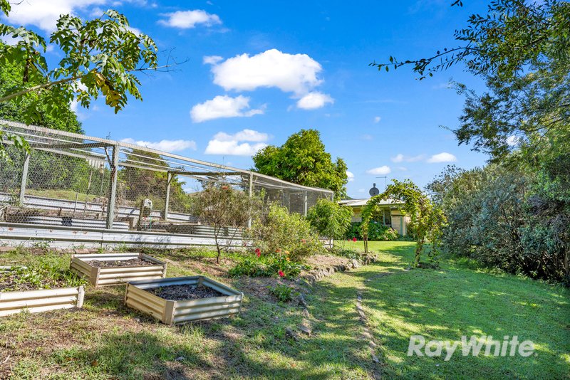 Photo - 410 Titaatee Creek Road, Gloucester NSW 2422 - Image 33