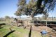 Photo - 4100 Olympic Highway, Henty NSW 2658 - Image 8
