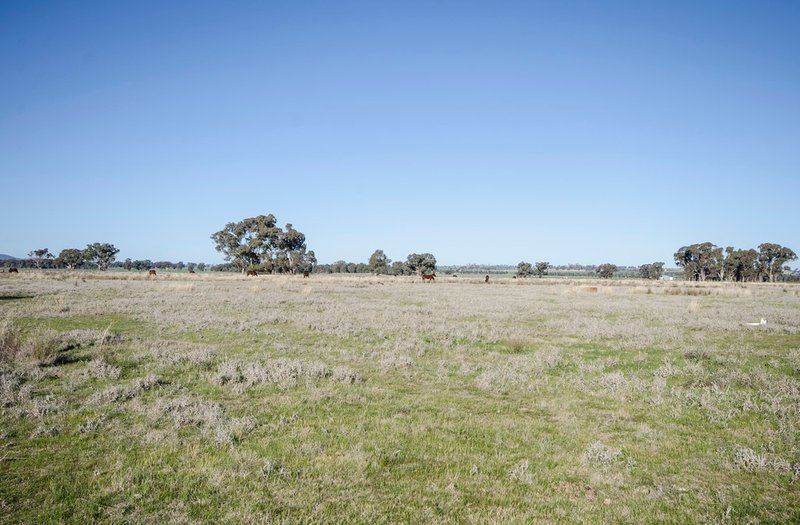 Photo - 4100 Olympic Highway, Henty NSW 2658 - Image 9