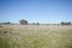 Photo - 4100 Olympic Highway, Henty NSW 2658 - Image 9