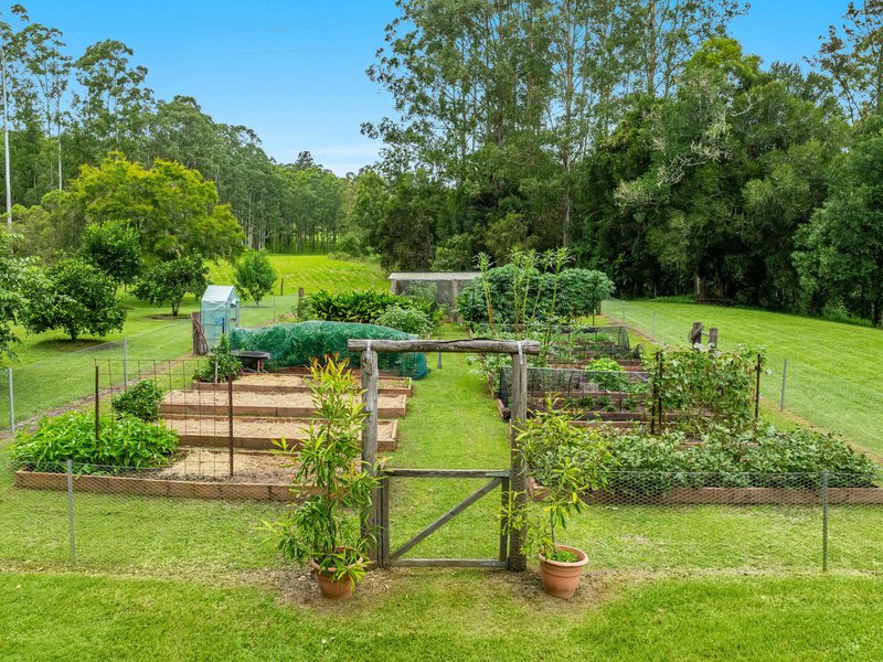 Photo - 410A Jiggi Road, Koonorigan NSW 2480 - Image 15