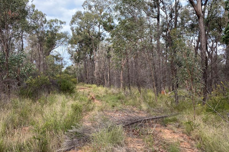 Photo - 411 Balinga Road, Wattle Ridge QLD 4357 - Image 3