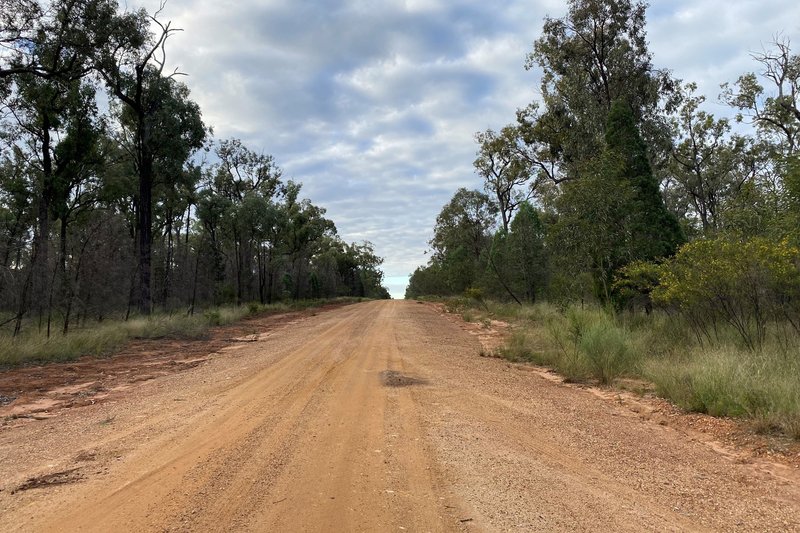 Photo - 411 Balinga Road, Wattle Ridge QLD 4357 - Image 4