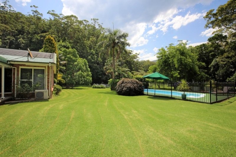 Photo - 411 Jamberoo Mountain Road, Jamberoo NSW 2533 - Image 4