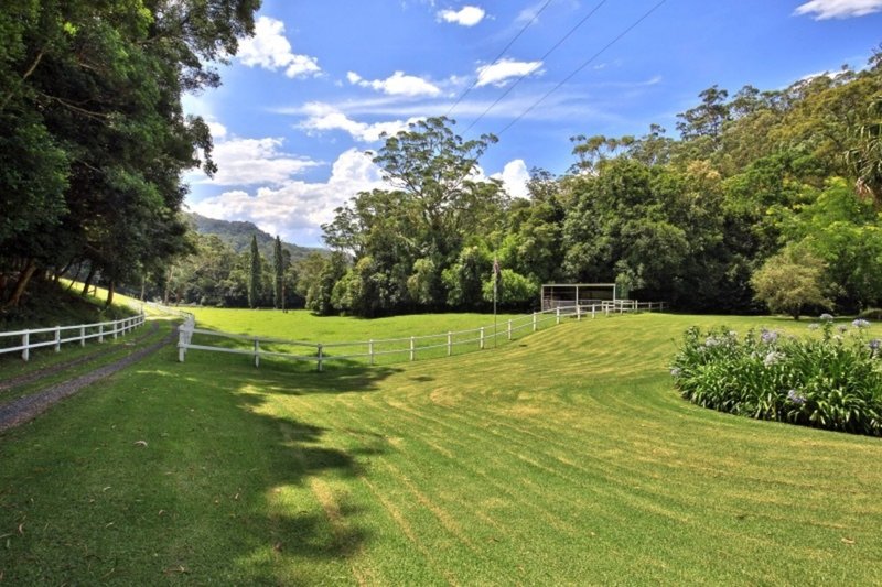 Photo - 411 Jamberoo Mountain Road, Jamberoo NSW 2533 - Image 15