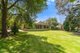 Photo - 411 North Road, Langwarrin VIC 3910 - Image 4