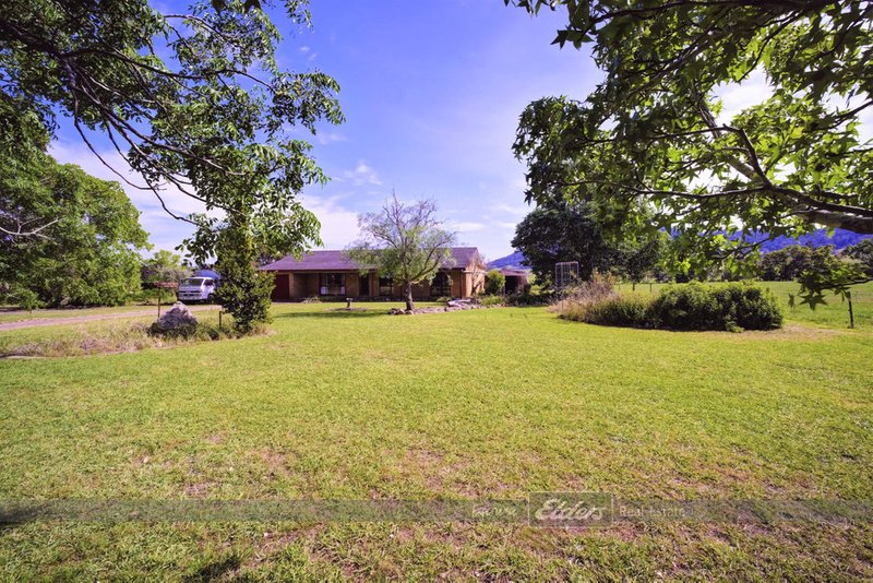 Photo - 411 Waukivory Road, Gloucester NSW 2422 - Image 13