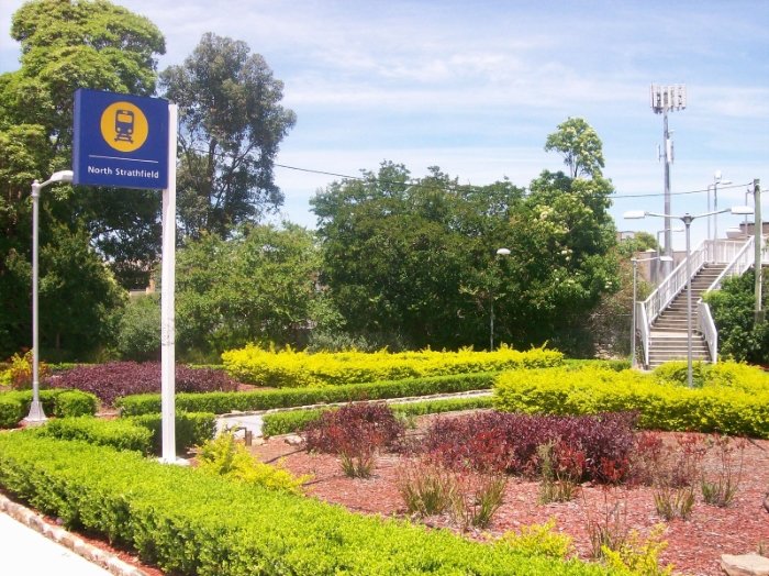 Photo - 4/113 Wellbank Street, North Strathfield NSW 2137 - Image 7