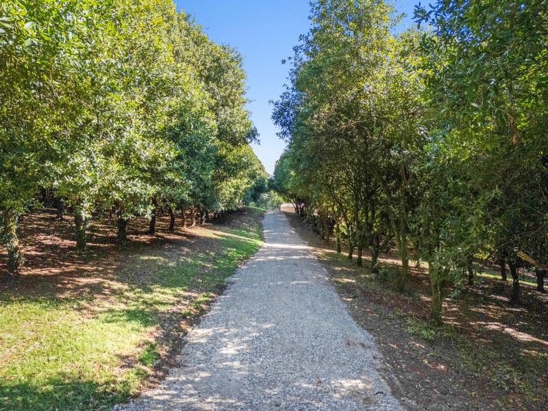 Photo - 412 Repentance Creek Road, Repentance Creek NSW 2480 - Image 3