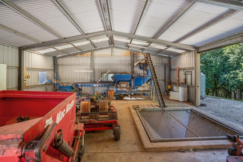 Photo - 412 Repentance Creek Road, Repentance Creek NSW 2480 - Image 26