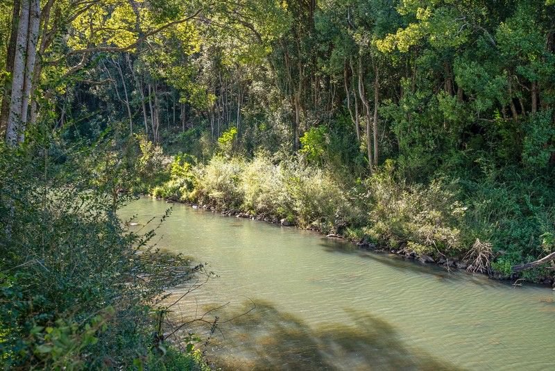 Photo - 412 Repentance Creek Road, Repentance Creek NSW 2480 - Image 28