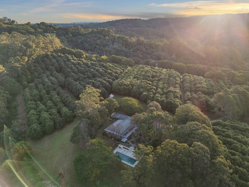 Photo - 412 Repentance Creek Road, Repentance Creek NSW 2480 - Image 30