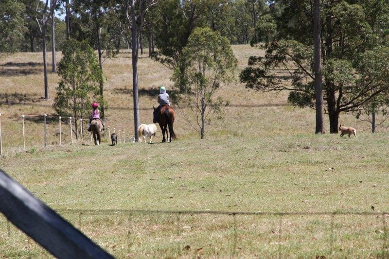 Photo - 414 Glenbar Road, Woocoo QLD 4620 - Image 15