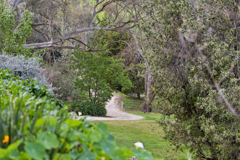 Photo - 414 Old Princes Highway, Blakiston SA 5250 - Image 28