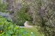 Photo - 414 Old Princes Highway, Blakiston SA 5250 - Image 28