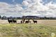 Photo - 415 Dowling Road, Mitchell Park VIC 3355 - Image 25
