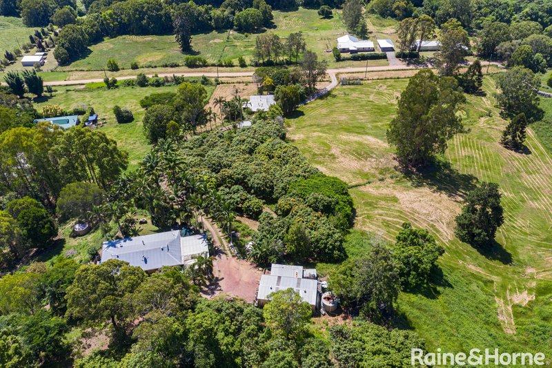 Photo - 416 Middle Creek Road, Federal QLD 4568 - Image 10