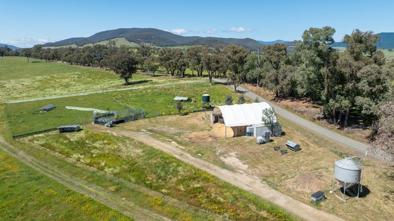 Photo - 417 Black Flats Road, Mudgegonga VIC 3737 - Image 4