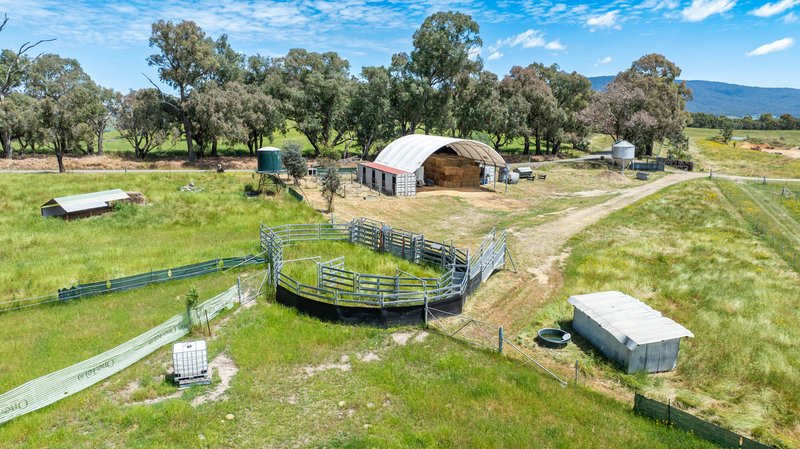 Photo - 417 Black Flats Road, Mudgegonga VIC 3737 - Image 13