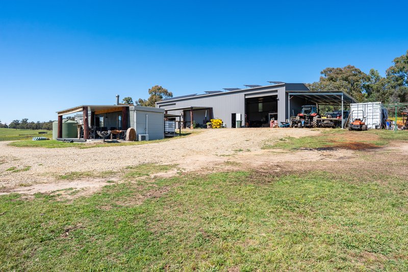 Photo - 417 Black Flats Road, Mudgegonga VIC 3737 - Image 14