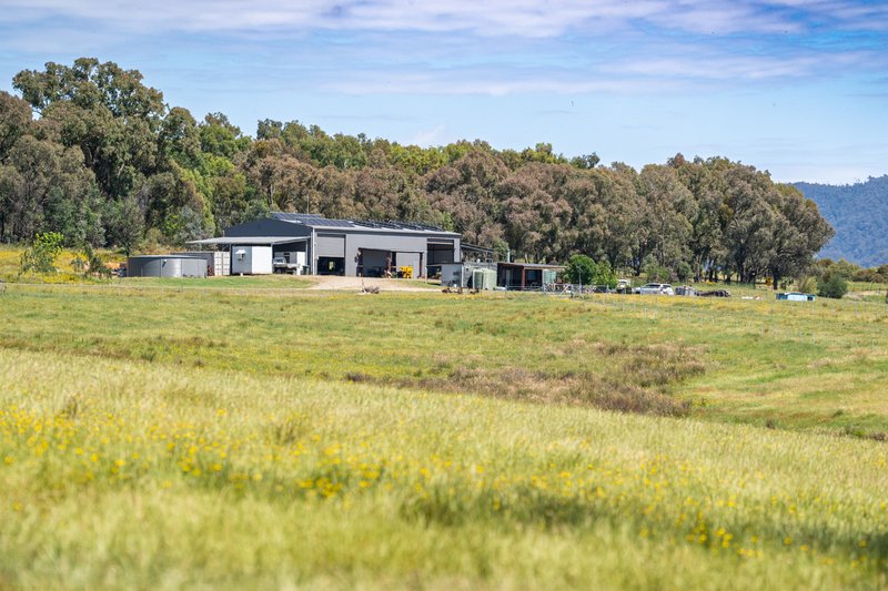 Photo - 417 Black Flats Road, Mudgegonga VIC 3737 - Image 25
