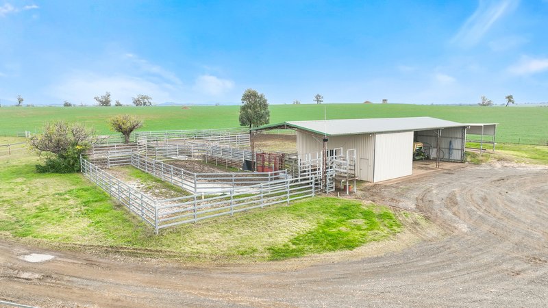 Photo - 4170 Oxley Highway, Tamworth NSW 2340 - Image 12