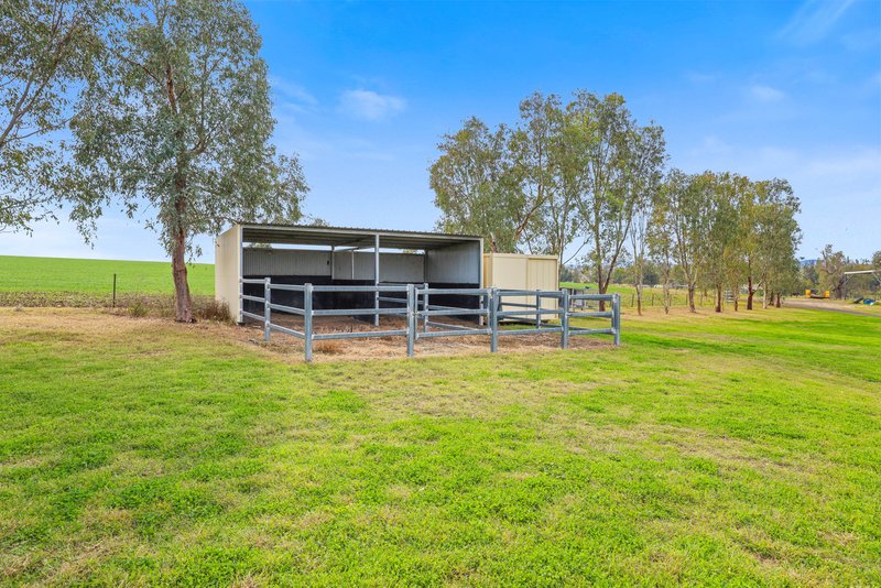 Photo - 4170 Oxley Highway, Tamworth NSW 2340 - Image 14