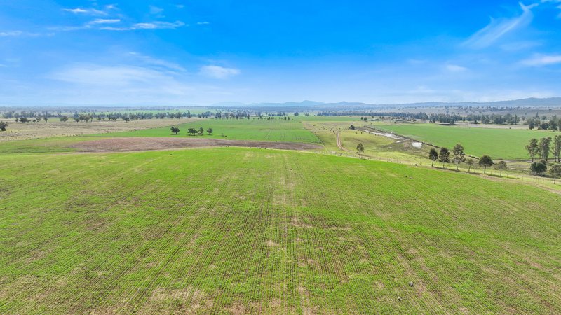 Photo - 4170 Oxley Highway, Tamworth NSW 2340 - Image 17