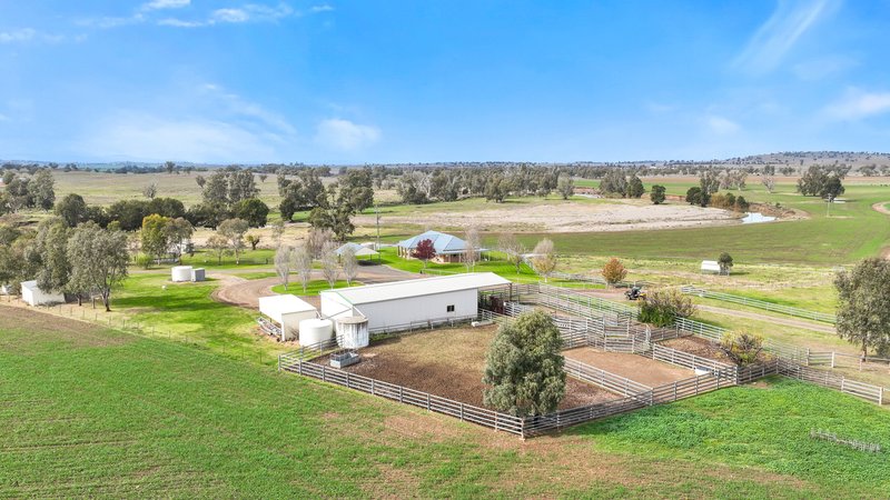 Photo - 4170 Oxley Highway, Tamworth NSW 2340 - Image 21