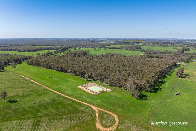 Photo - 418 Greenfields Road, Benjinup WA 6255 - Image 31