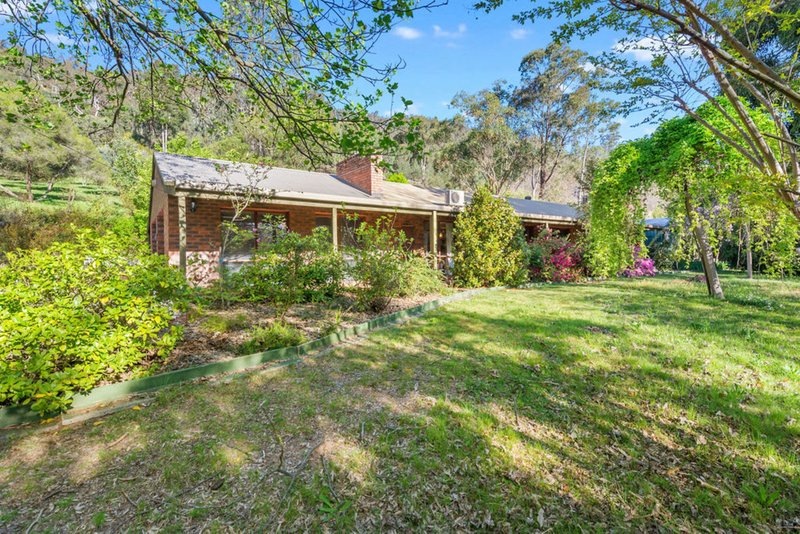 Photo - 419 Buffalo River Road, Myrtleford VIC 3737 - Image 17