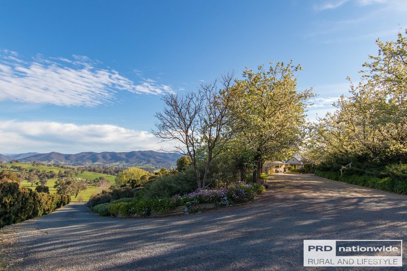 Photo - 419 Lacmalac Road, Tumut NSW 2720 - Image 3