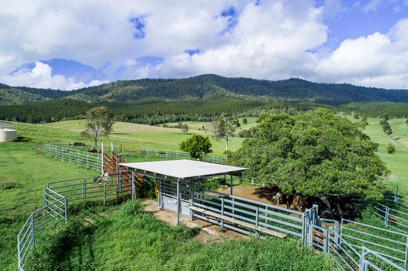 Photo - 4199 Esk Kilcoy Road, Hazeldean QLD 4515 - Image 7