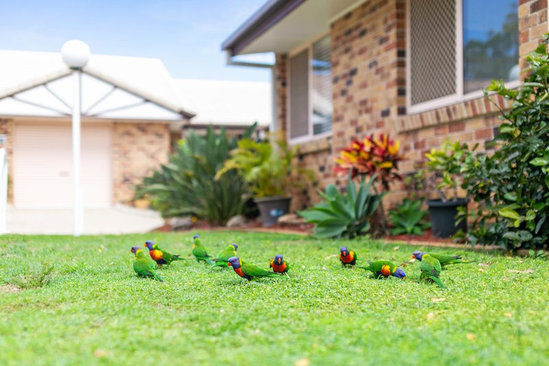 Photo - 4/2-4 Almara Street, Capalaba QLD 4157 - Image 8