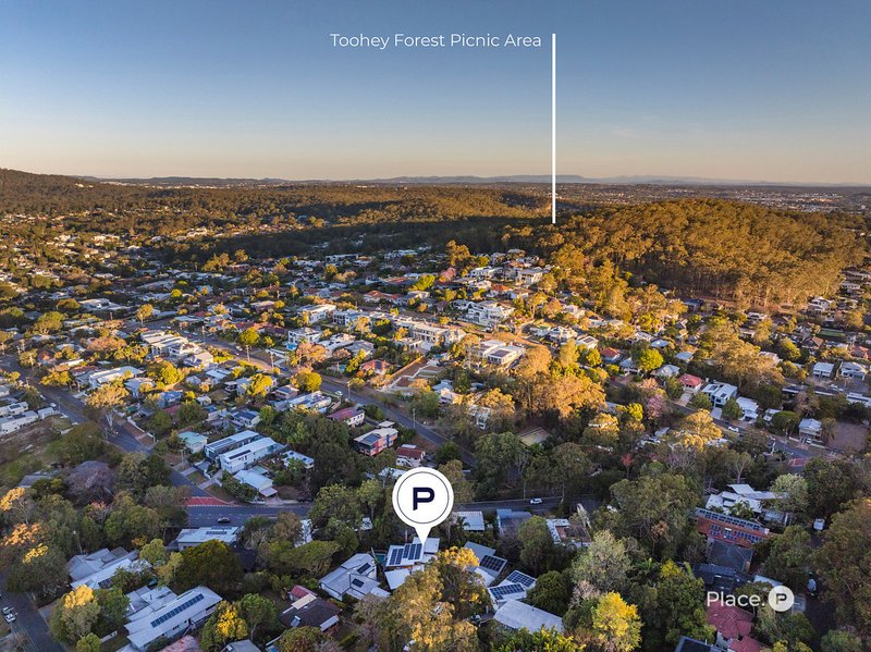 Photo - 42 Bailey Avenue, Tarragindi QLD 4121 - Image 35