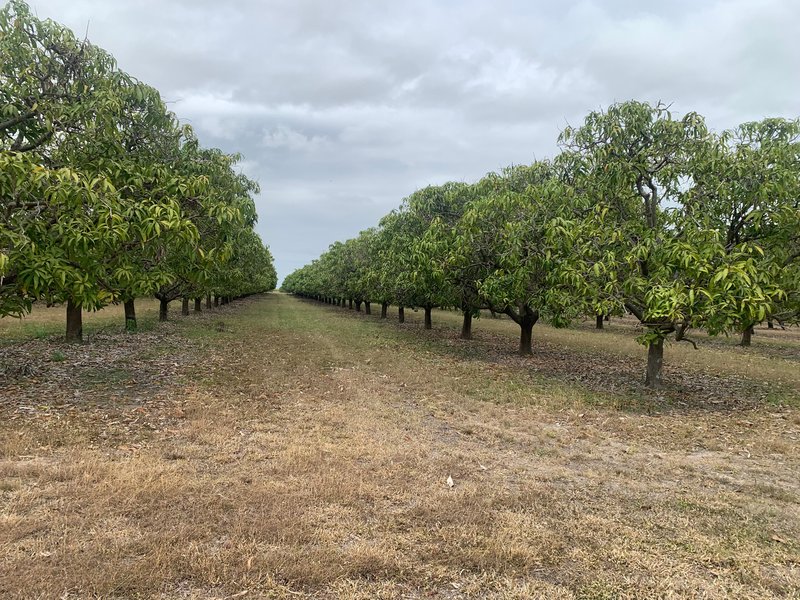 Photo - 42 Bartlett Road, Horseshoe Lagoon QLD 4809 - Image 2