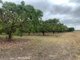 Photo - 42 Bartlett Road, Horseshoe Lagoon QLD 4809 - Image 5