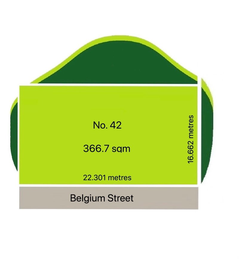 42 Belgium Street, Auburn NSW 2144