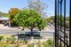 Photo - 42 Boothby Street, Panorama SA 5041 - Image 5