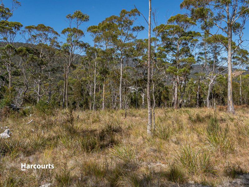 Photo - 42 Bull Oak Way, Grove TAS 7109 - Image 4