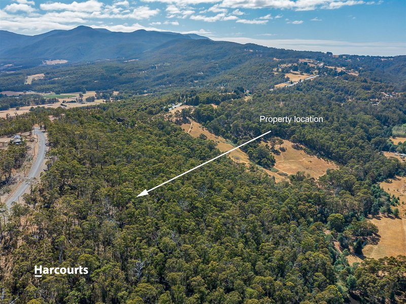 Photo - 42 Bull Oak Way, Grove TAS 7109 - Image 6