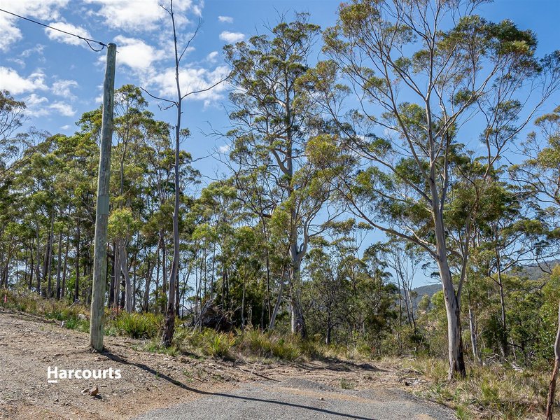 Photo - 42 Bull Oak Way, Grove TAS 7109 - Image 12