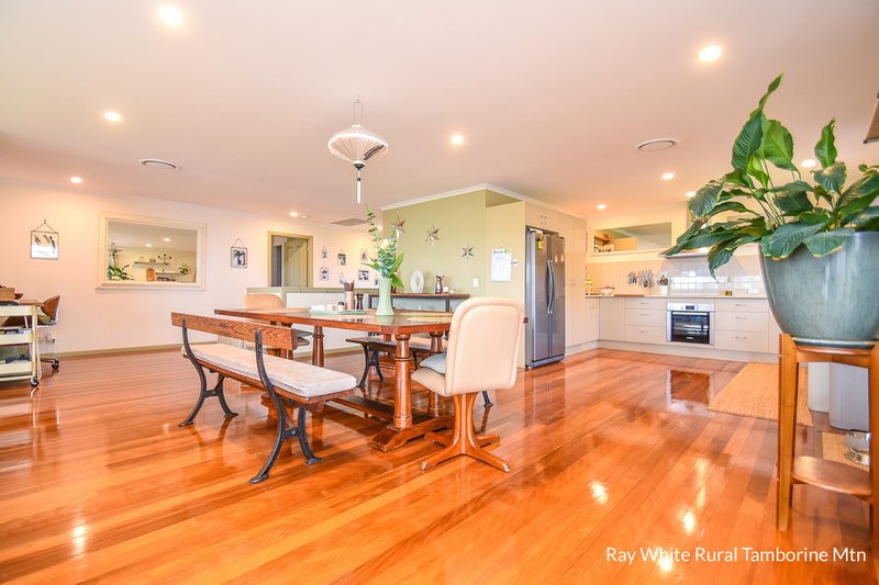 Photo - 42 Coomera Gorge Drive, Tamborine Mountain QLD 4272 - Image 2